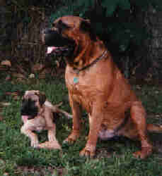 dad&son2.jpg - August '99