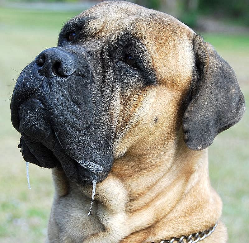 lunch2.jpg - 177.67 K