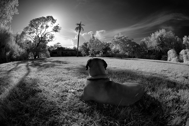 keirin's_world.jpg - 154.87 K